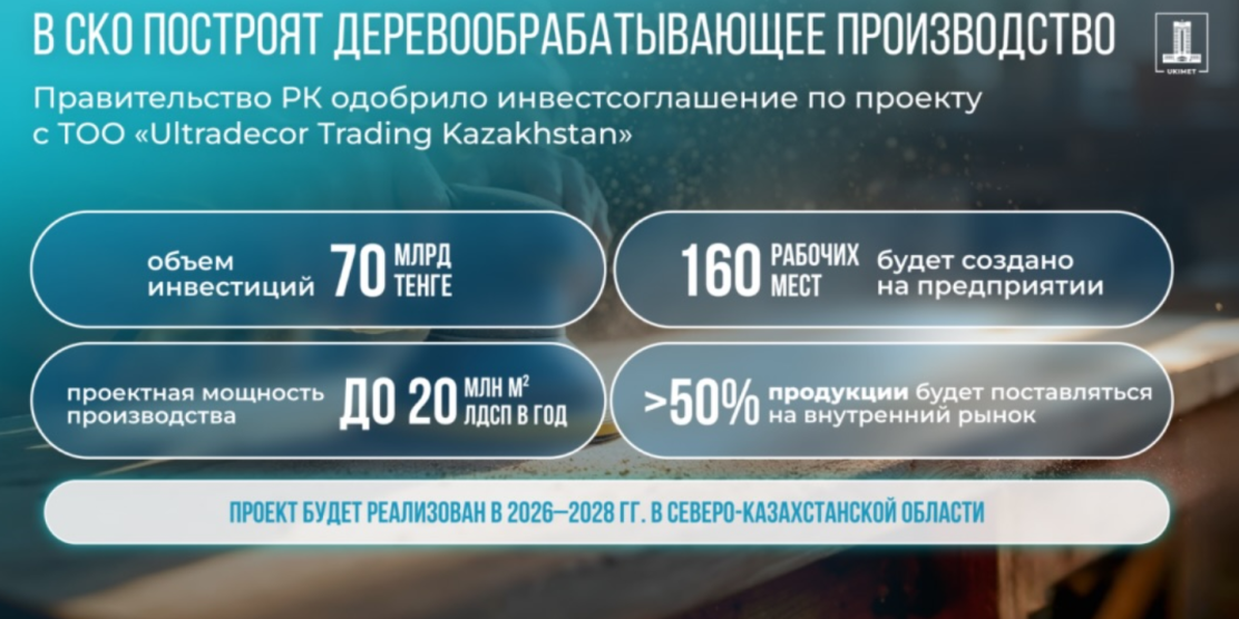 Правительство Казахстана одобрило инвестиционное соглашение по строительству деревообрабатывающего завода в СКО